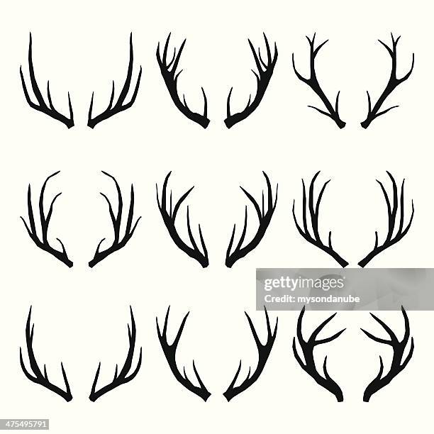 bildbanksillustrationer, clip art samt tecknat material och ikoner med vector collection of deer horns - tagg