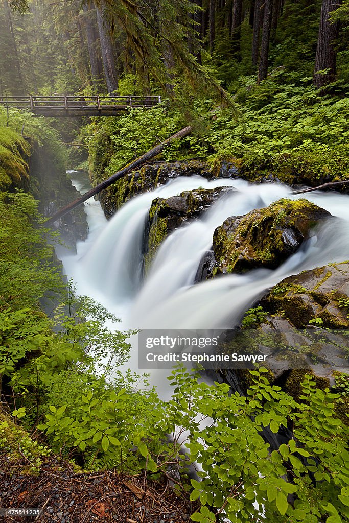 Sol Duc Falls at Dusk