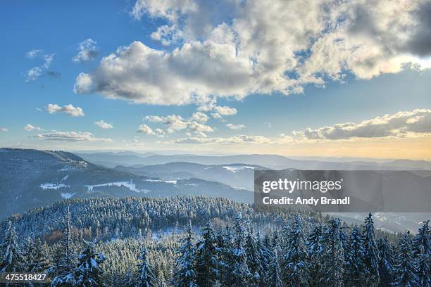 black forest - hilltops and forests in winter - black forest germany stock pictures, royalty-free photos & images