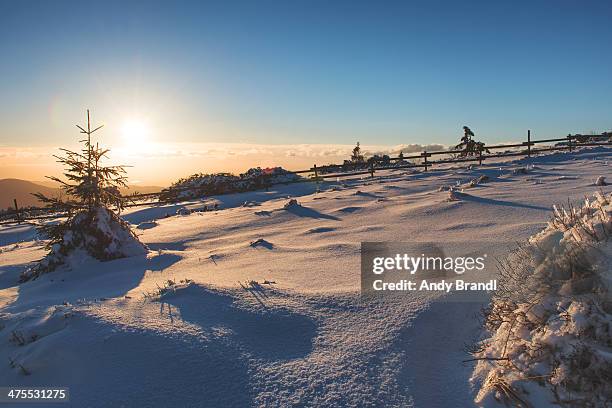 black forest - kniebis - coberto de neve imagens e fotografias de stock