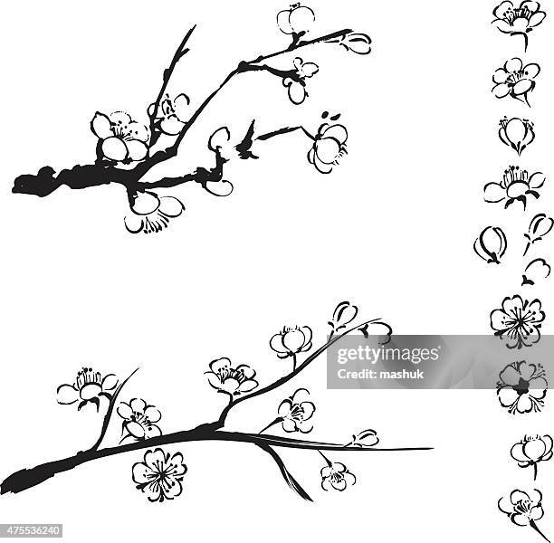 plum blossom - cherry blossom branch stock illustrations
