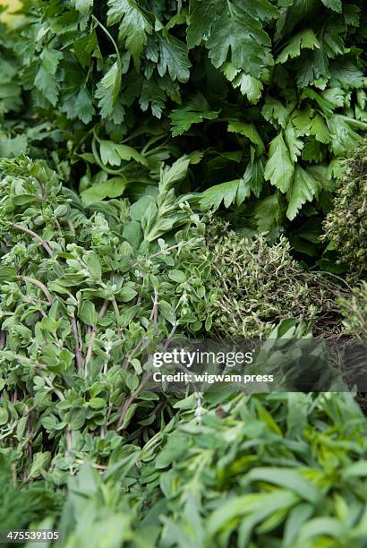 Food High-Res Stock Photo