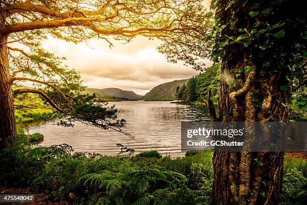 ruhige szene aus killarney nationalpark, ireland - idyllic lake stock-fotos und bilder