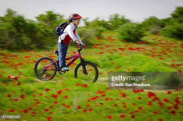 young boy mountain biking through flowers - panorering bildbanksfoton och bilder