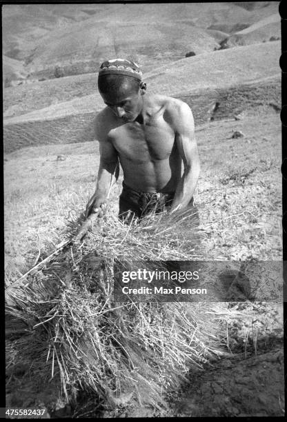 Haymaking peasant on dry hills, Uzbekistan, circa 1940.