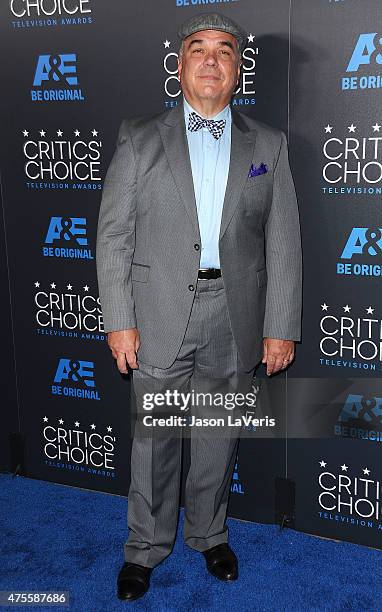 Actor W. Earl Brown attends the 5th annual Critics' Choice Television Awards at The Beverly Hilton Hotel on May 31, 2015 in Beverly Hills, California.