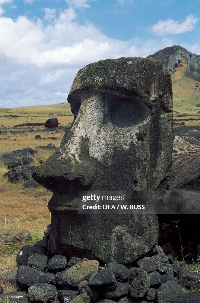 Moai (megalithic anthropomorphic statue)...
