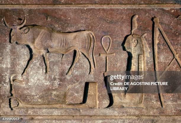 Bull, bas-relief, Temple of Amun , Luxor. Egyptian civilisation.