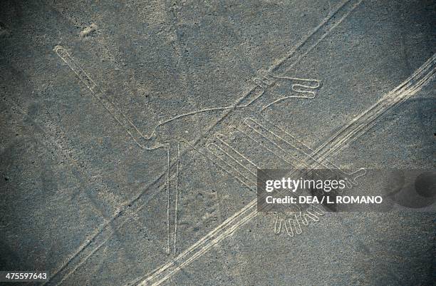 Dog, Nazca lines, Nazca, Peru. Nazca Civilisation.