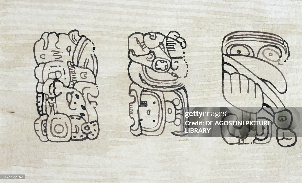 Mayan glyphs engraved on stele 39 at Tikal...