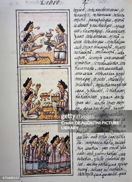 Women preparing a feast, page from Book IV of the Florentine Codex, bilingual version in Spanish and Nahuatl, General History of the Things of New...