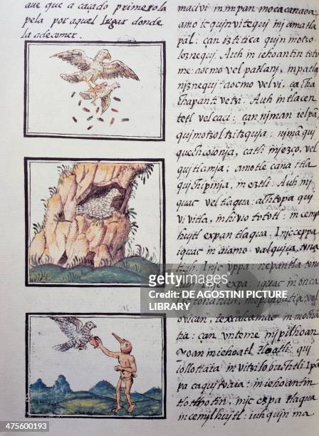 Eagles, page from the Florentine Codex, bilingual version in Spanish and Nahuatl, General History of the Things of New Spain , by the Spanish...