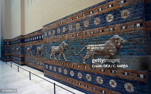 Bas-reliefs of lions along the Processional Way, reconstruction in the Pergamon Museum, Berlin, Germany. Babylonian civilisation, 2nd millennium -...