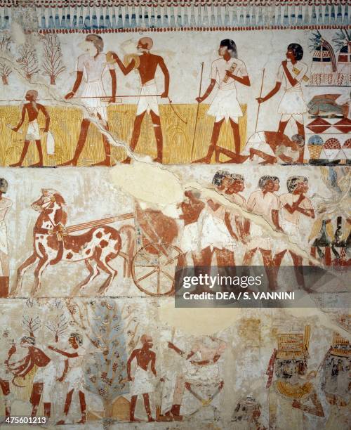 Harvesting the crop, threshing and winnowing of the grain, detail from the frescoes in the vestibule of the Tomb of Menna, Sheikh Abd el Qurnah...