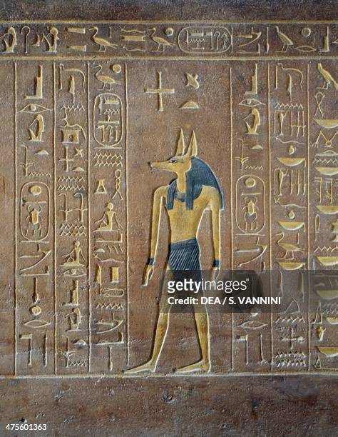 Jackal-headed Anubis, detail from the reliefs on Amenhotep II's red quartzite sarcophagus, Tomb of Amenhotep II, Valley of the Kings, Luxor, Thebes ....