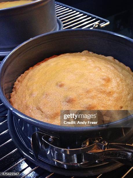 Sponge Cake Rack 29 Sponge Cake Rack Stock Photos, High-Res Pictures, and Images - Getty ...