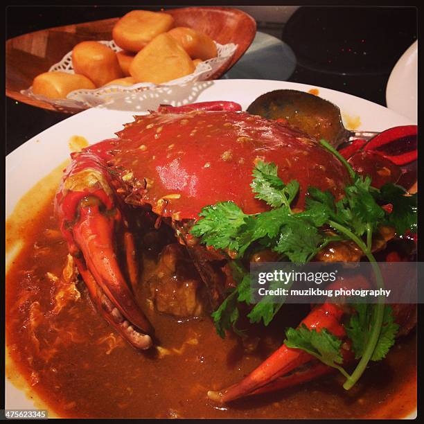 food porn - chilli crab stock pictures, royalty-free photos & images