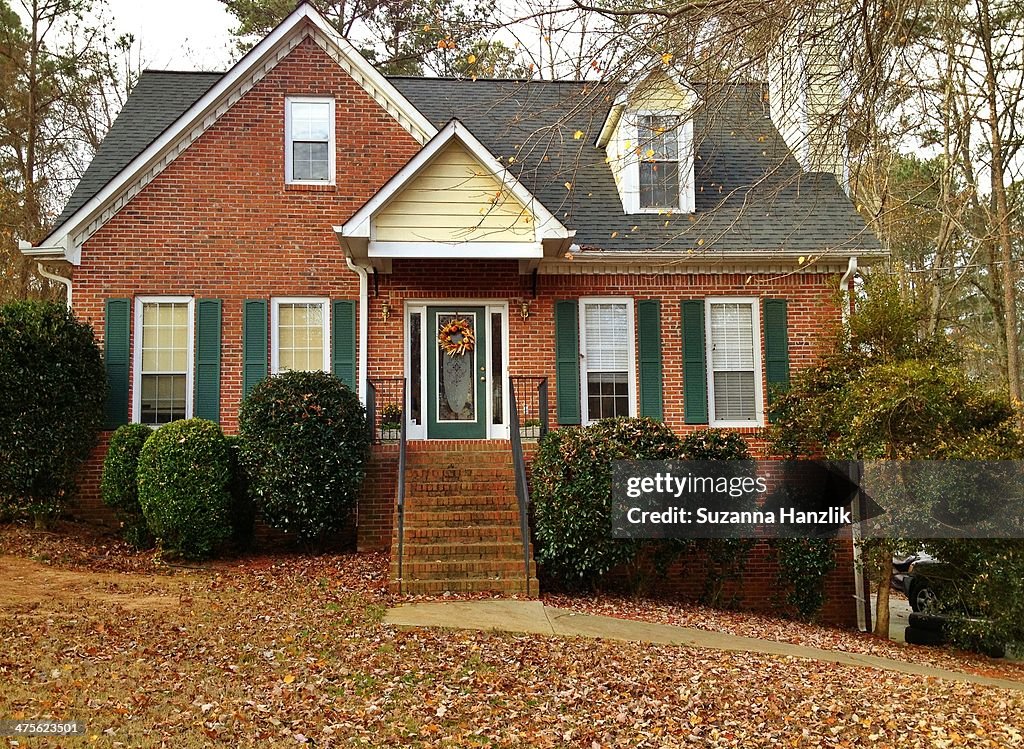 American Suburban Houses
