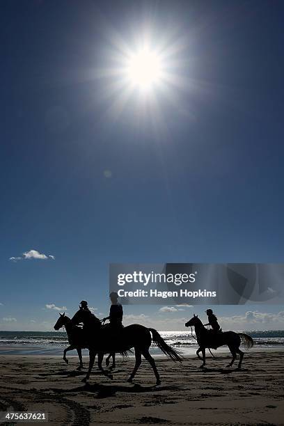 Horses return to the stables after the Wairarapa Station Hack Race during the Castlepoint Beach Races on March 1, 2014 in Masterton, New Zealand.
