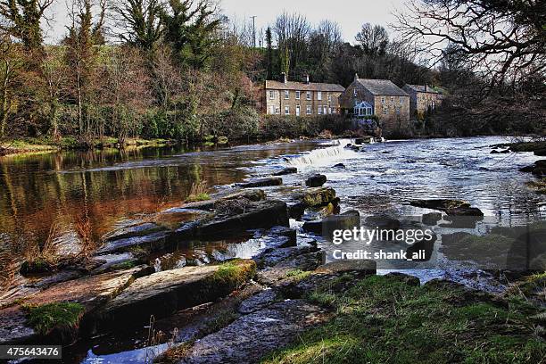 river tees,barnard castle,co durham,england - edward-lambton-7th-earl-of-durham stockfoto's en -beelden