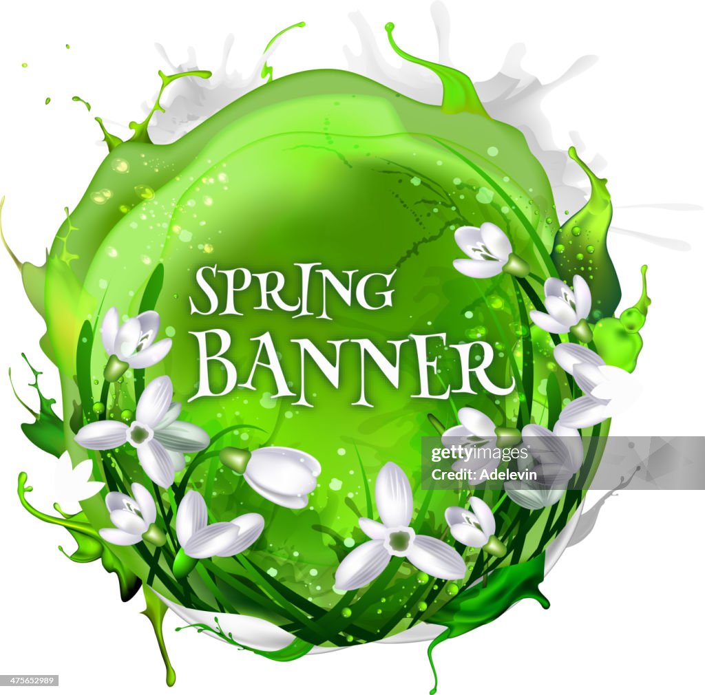 Spring banner from snowdrops