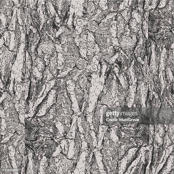 pine baumrinde wiederholen muster - tree bark stock-grafiken, -clipart, -cartoons und -symbole