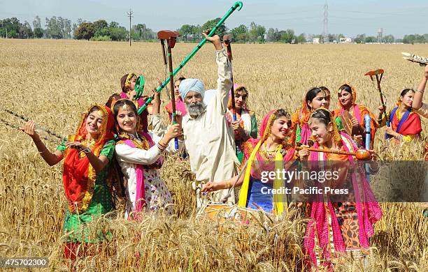 Girls in a traditional Punjabi dress , during Baisakhi celebrations in a wheat field near Patiala Baisakhi, which falls on 14 April. People of North...