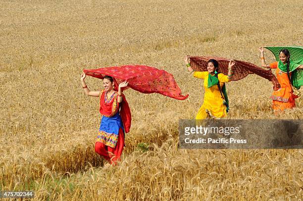 Girls in a traditional Punjabi dress , during Baisakhi celebrations in a wheat field near Patiala Baisakhi, which falls on 14 April. People of North...