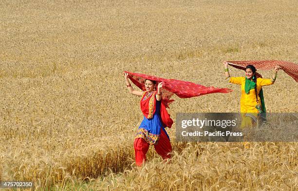 Girls in a traditional Punjabi dress , during Baisakhi celebrations in a wheat field near Patiala Baisakhi, which falls on 14 April. People of North...