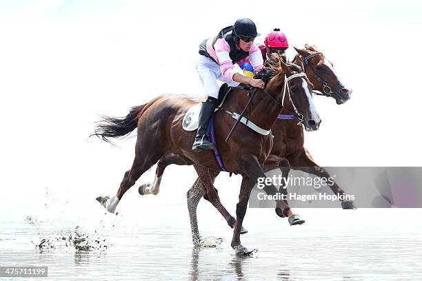 Riders and horses compete during the Castlepoint Beach Races on March 1, 2014 in Masterton, New Zealand.