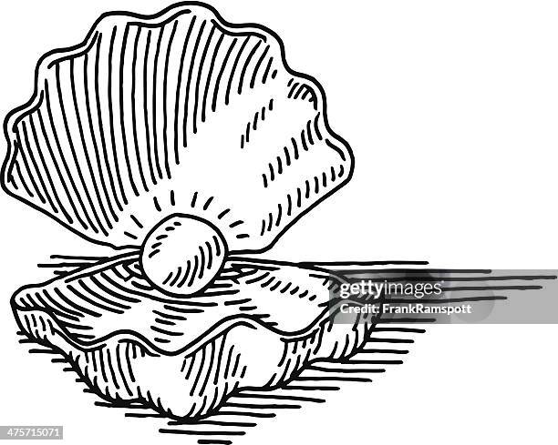 Ilustraciones, imágenes clip art, dibujos animados e iconos de stock de Ostion - Getty Images Ilustraciones, imágenes clip art, dibujos animados e iconos de stock de Ostion - Getty Images