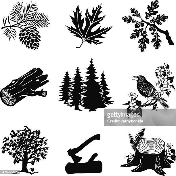vector forest animals, plants in black and white - oak woodland stock illustrations