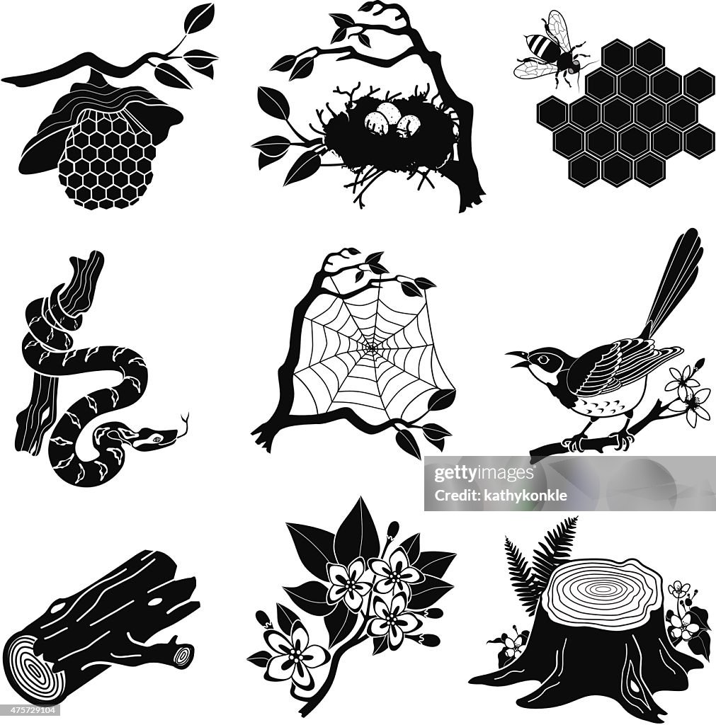 Forest animals, plants in black and white