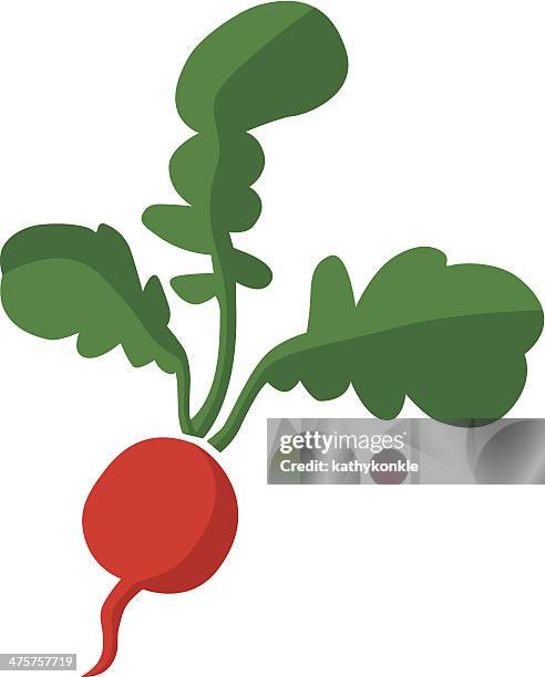 radish with leaves - curry powder stock illustrations