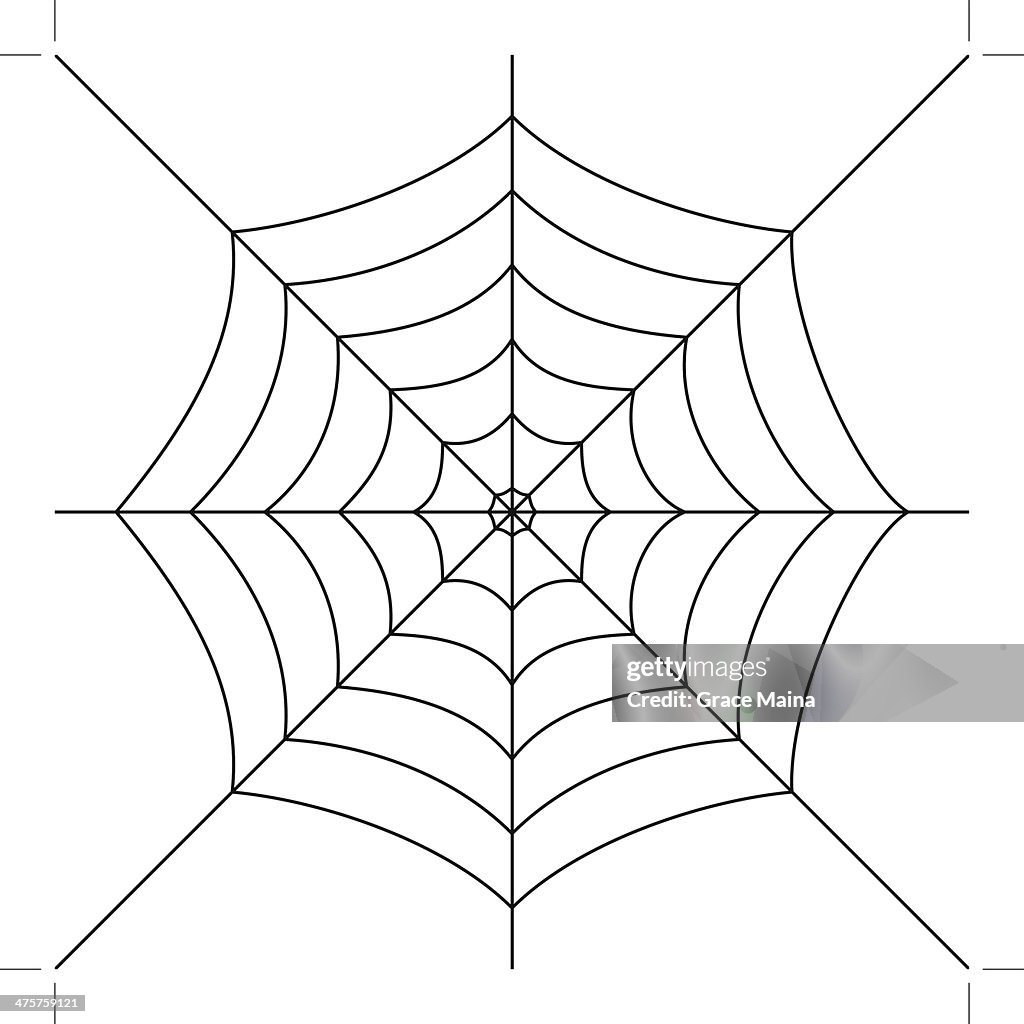 Spider Web