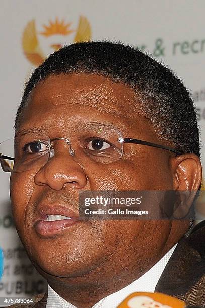 Minister of Sport Fikile Mbalula address the media during the FIFA allegations Press Conference at SAFA House Conference Centre on June 03, 2015 in...