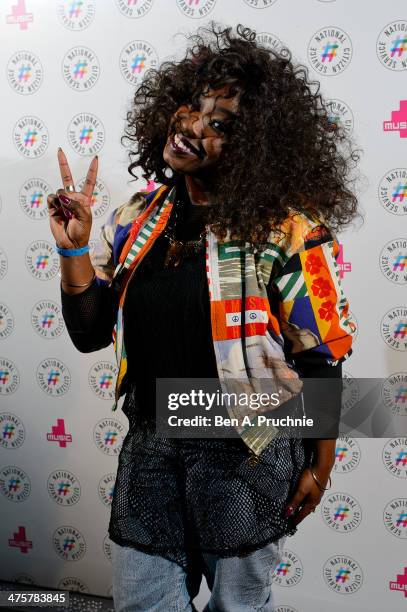 Misha B attends NCS YES live at Brixton Academy on March 1, 2014 in London, England.