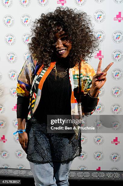 Misha B attends NCS YES live at Brixton Academy on March 1, 2014 in London, England.