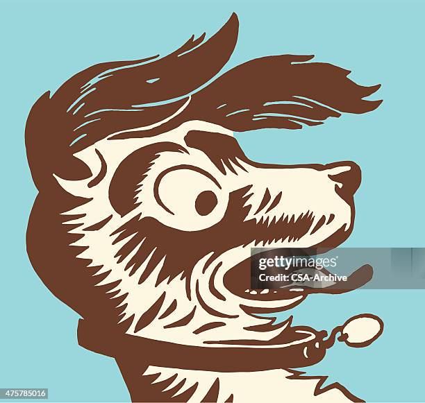 shocked dog - fear dog stock illustrations