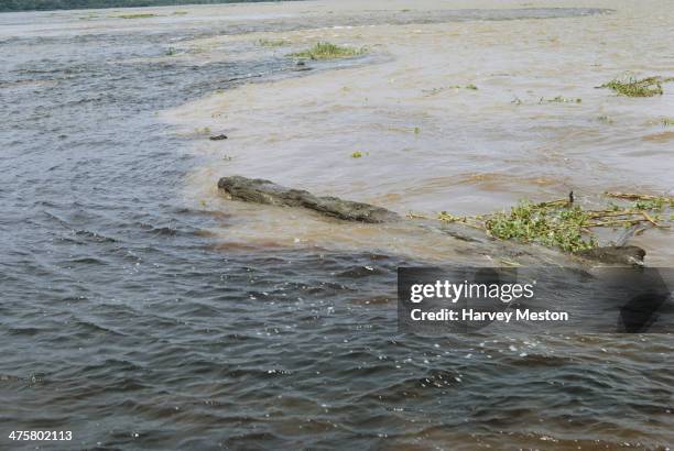 The Wedding of the Waters or Encontro das Aguas in Manaus, Brazil, at the confluence of the Rio Negro and the Rio Solimoes, circa 1960.