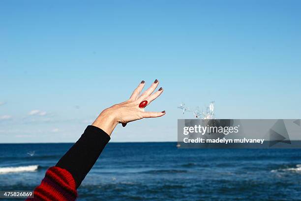 make a wish - ring toss bildbanksfoton och bilder