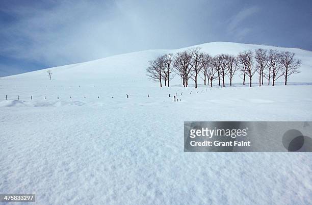 wide view of snowy filed - land boundary stock pictures, royalty-free photos & images