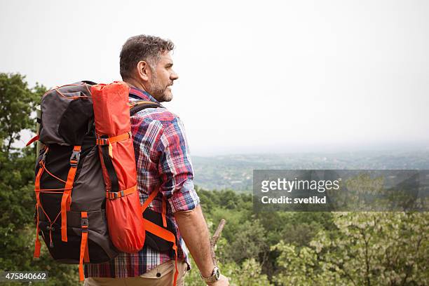 mature man hiking in the forest. - hiking mature man stock pictures, royalty-free photos & images