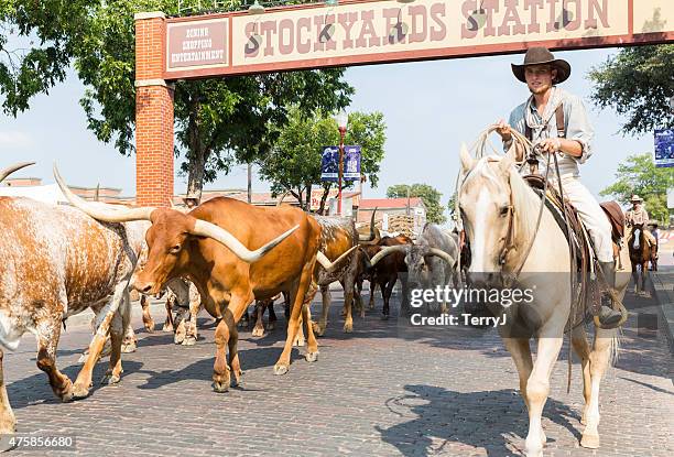 Cowhands Ranch Roundup Longhorn Photos and Premium High Res Pictures - Getty Images