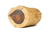 Rosewood log