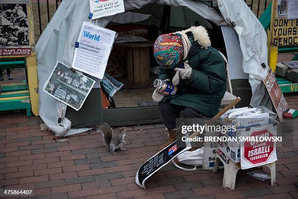 Concepcion Picciotto, who participates in a 24-hour peace vigil in Lafayette Square outside the White House, feeds a squirrel on March 1, 2014 in...