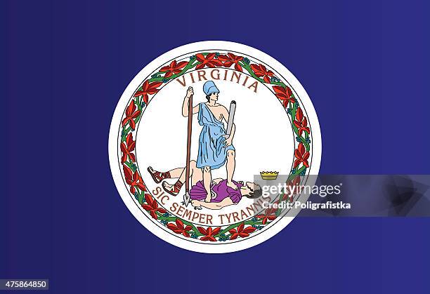 flag of virginia - virginia us state stock illustrations