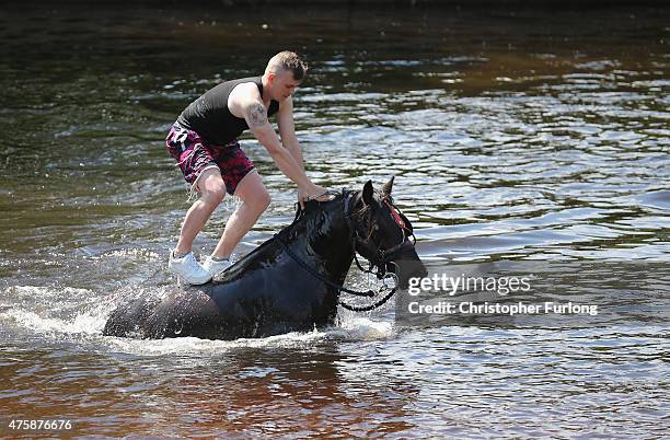 Travellers wash their horses and traps in the River Eden during the Appleby Horse Fair on June 4, 2013 in Appleby, England. The Appleby Horse Fair...