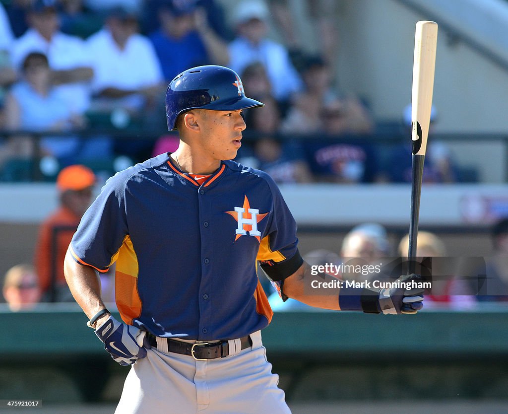 Houston Astros v Detroit Tigers