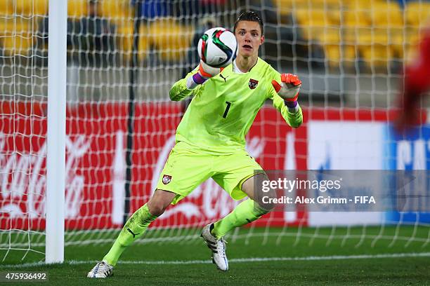 Goalkeeper Tino Casali of Austria makes a save during the FIFA U-20 World Cup New Zealand 2015 Group B match between Austria and Argentina at...